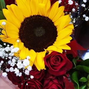 Meet your Posher, Sandra